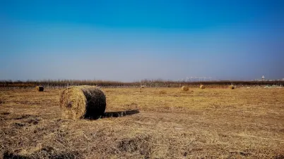 Kakadu Casino Mobiilirakendus